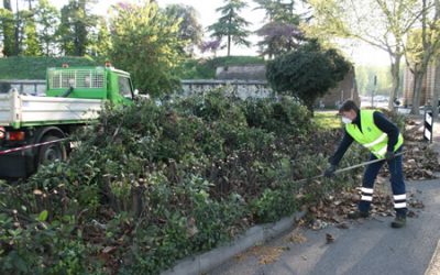 Interventi settimanali di manutenzione del verde pubblico a Verona