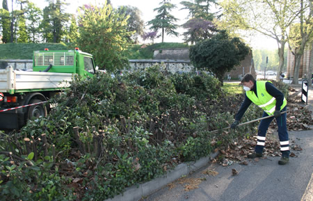 Interventi settimanali di manutenzione del verde pubblico a Verona