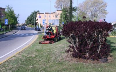 Interventi settimanali di manutenzione delle aree verdi a Verona
