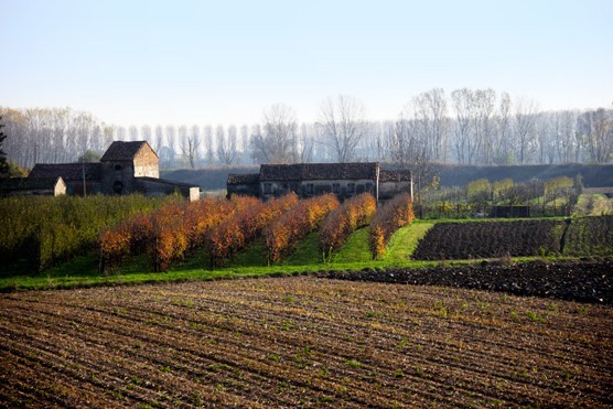 L’Arpav al convegno sul compost in agricoltura su Ambiente Informa