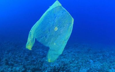 Ambiente Informa: pubblicata una nuova newsletter