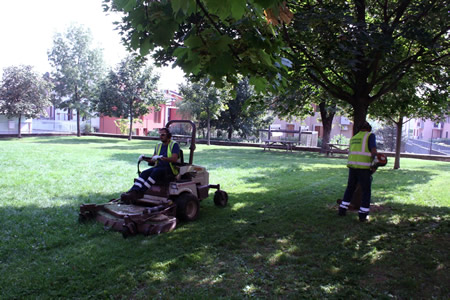 Manutenzione delle aree verdi a Verona