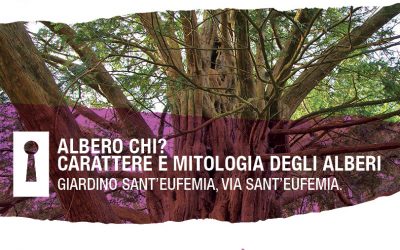 Causa maltempo rinviato l’evento Albero chi?