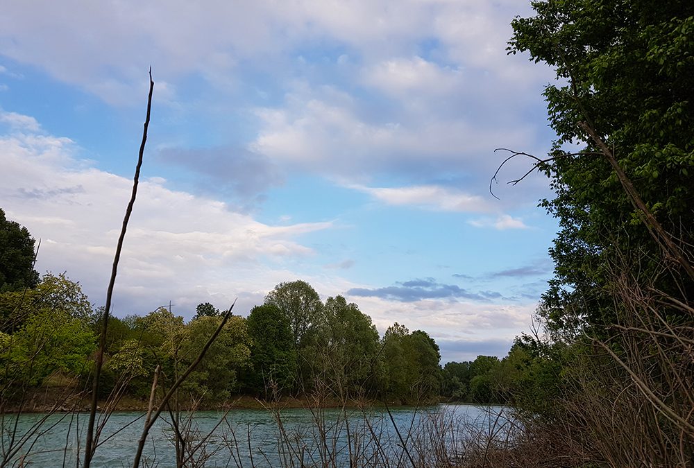 In piena attività il Consorzio di bonifica Brenta