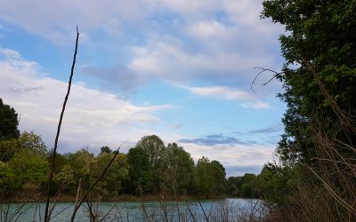 In piena attività il Consorzio di bonifica Brenta