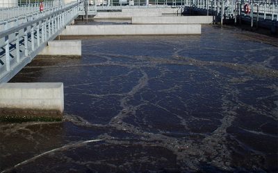 Ampliamento e migliorie al depuratore di Selvazzano Dentro