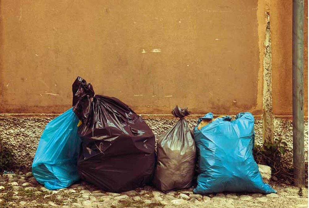 Venerdì 10 maggio Giornata Ecologica a Carmignano