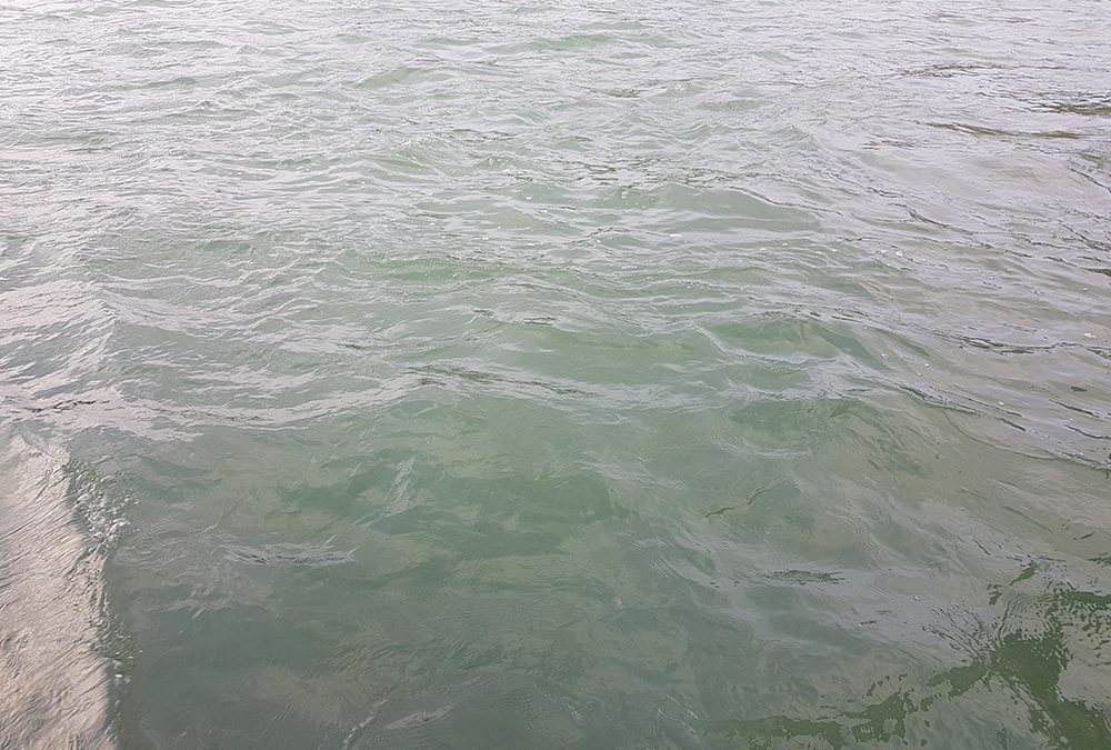 500 mila euro dalla Regione Veneto per opere idrauliche sul fiume Brenta