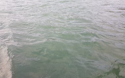 500 mila euro dalla Regione Veneto per opere idrauliche sul fiume Brenta
