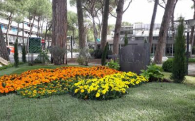 I fiori di Verona, per tutta l’estate, a Milano Marittima