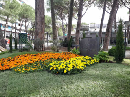 I fiori di Verona, per tutta l’estate, a Milano Marittima