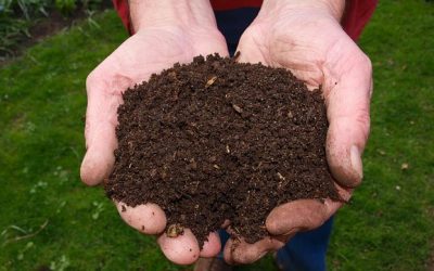 I rifiuti organici in Europa nel report dell’European Compost Network