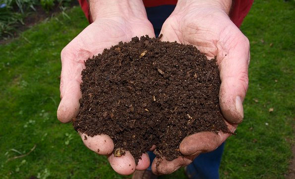 I rifiuti organici in Europa nel report dell’European Compost Network