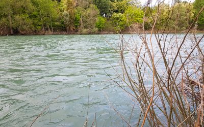 21 milioni di euro per il piano idraulico-forestale della Regione Veneto