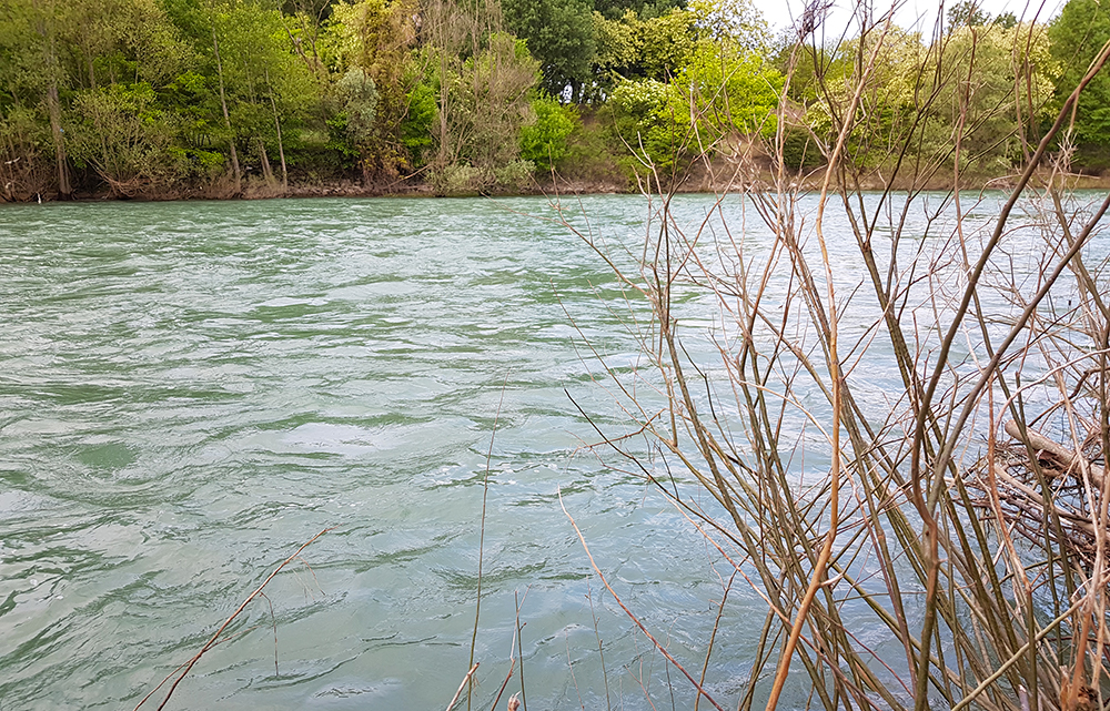 21 milioni di euro per il piano idraulico-forestale della Regione Veneto