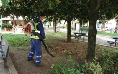 Gli interventi settimanali di manutenzione delle aree verdi pubbliche a Verona