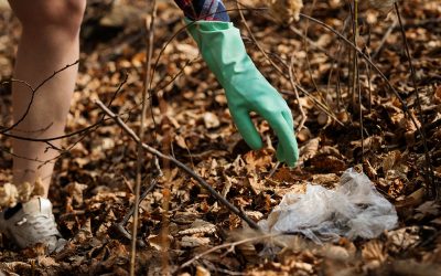 8 maggio giornata ecologica e di solidarietà a Piombino Dese