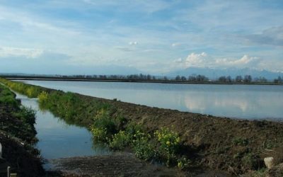 Diffuso l’ultimo numero di Ambiente Informa di Snpa