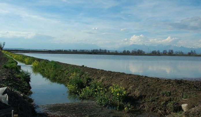 Diffuso l’ultimo numero di Ambiente Informa di Snpa