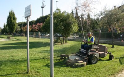 Aree verdi di Verona: gli interventi di questi giorni