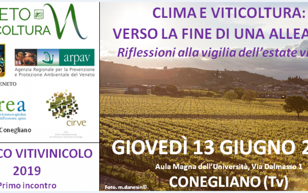 Vitivinicolo: tutti i numeri alla vigilia del focus sullo stato del vigneto veneto