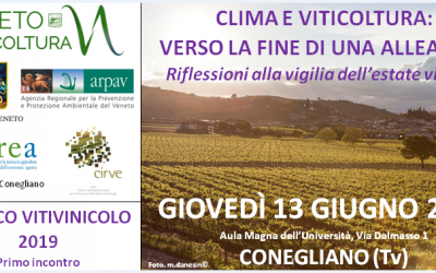 Vitivinicolo: tutti i numeri alla vigilia del focus sullo stato del vigneto veneto