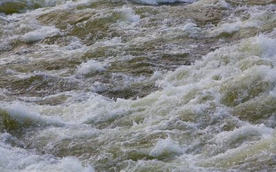 Importanti lavori per la sicurezza idraulica sul torrente Curogna