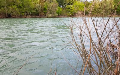 Diffuso e disponibile on line il numero di giugno di Brenta News