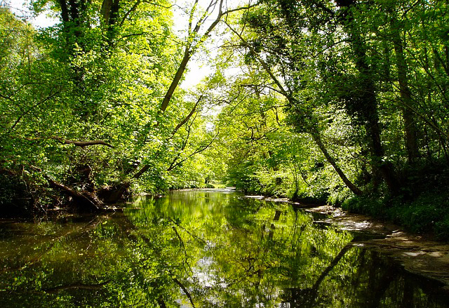 Il consuntivo delle opere del Consorzio di bonifica Brenta nel 2018