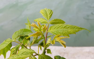 A breve messa in sicurezza del nodo idraulico di Montegrotto Terme