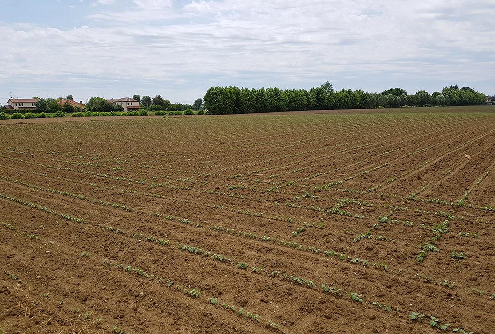 Oltre 34 milioni di euro per I’agricoltura e le aree interne del Veneto