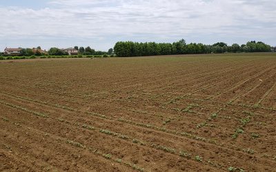 Oltre 34 milioni di euro per I’agricoltura e le aree interne del Veneto