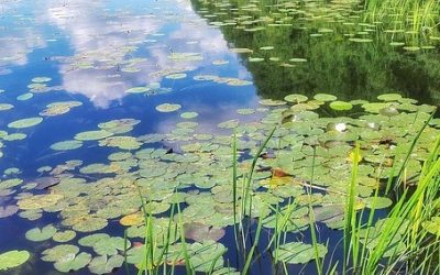 Piano di interventi straordinari del Consorzio di bonifica Piave