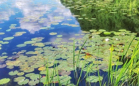 Piano di interventi straordinari del Consorzio di bonifica Piave