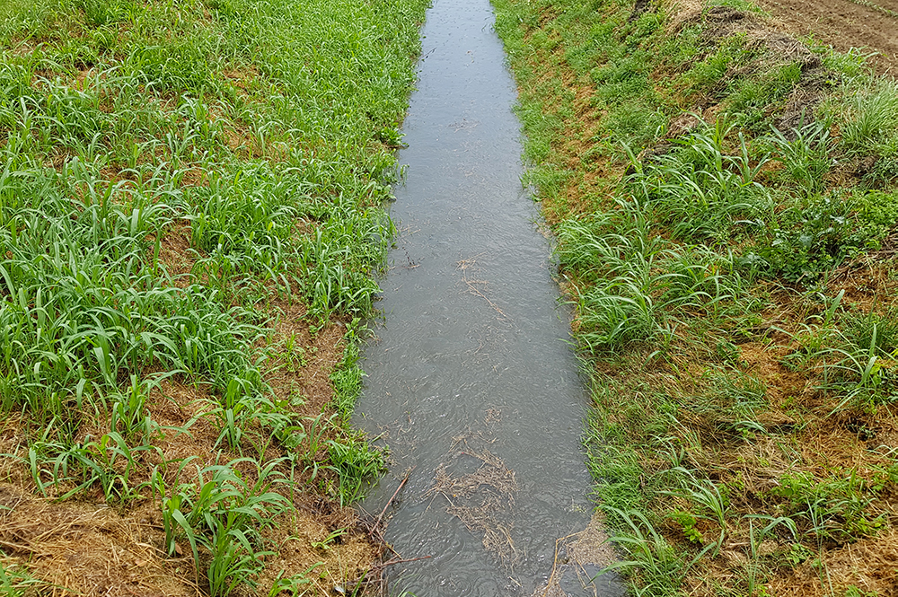 Interventi per la ritenzione naturale delle acque con il progetto europeo LIFE BEWARE