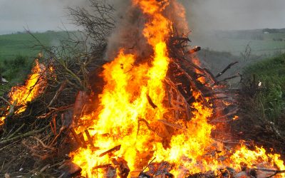 Rifiuti verdi: da evitate i roghi perché inquinano e possono essere pericolosi