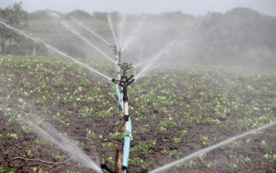 Come evitare gli sprechi d’acqua nell’irrigazione? Lo spiega il Consorzio Bacchiglione