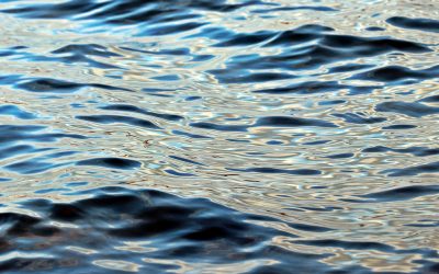 Arpav: eccellente per fare il bagno l’acqua del lago di Santa Sroce