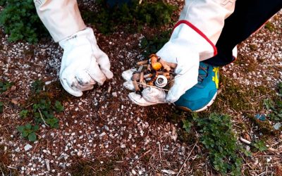 Padova: domani azione di “Clean up di comunità” all’Arcella
