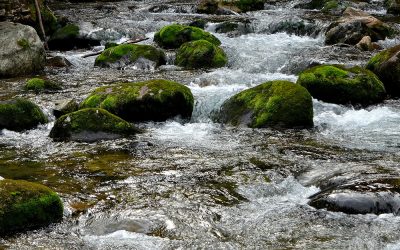 150 mila euro dalla Regione Veneto per opere idrauliche sul torrente Maè