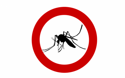 West Nile: la procedura di prevenzione del Consorzio Bacchiglione