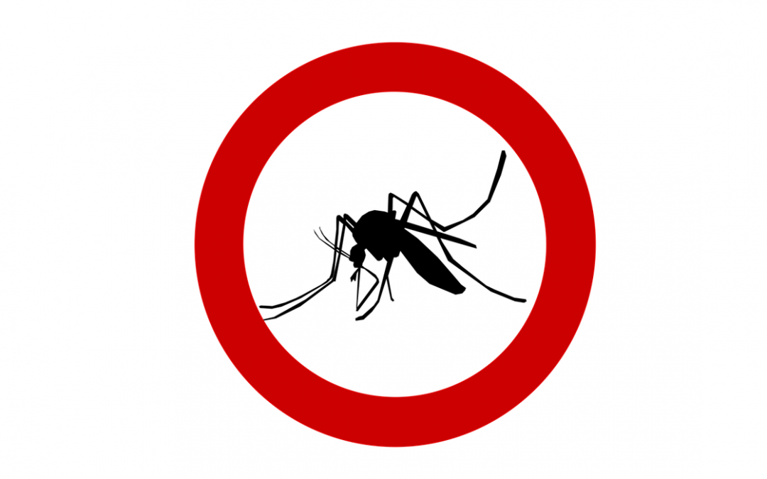 West Nile: la procedura di prevenzione del Consorzio Bacchiglione