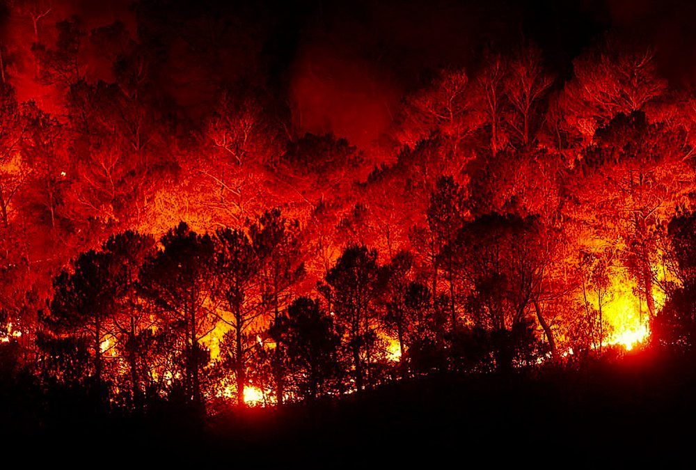 Il nostro pianeta brucia: un’estate catastrofica documentata dalla Nasa