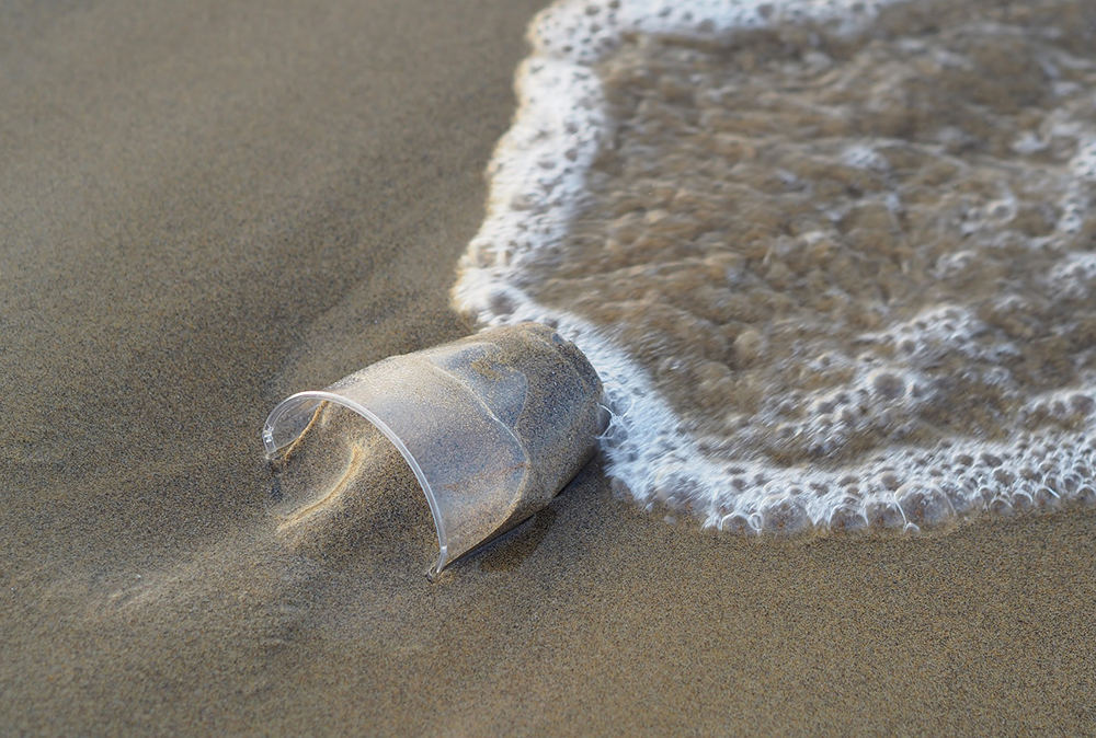 Un video dell’Ispra per spiegare gli effetti delle materie plastiche sul mare