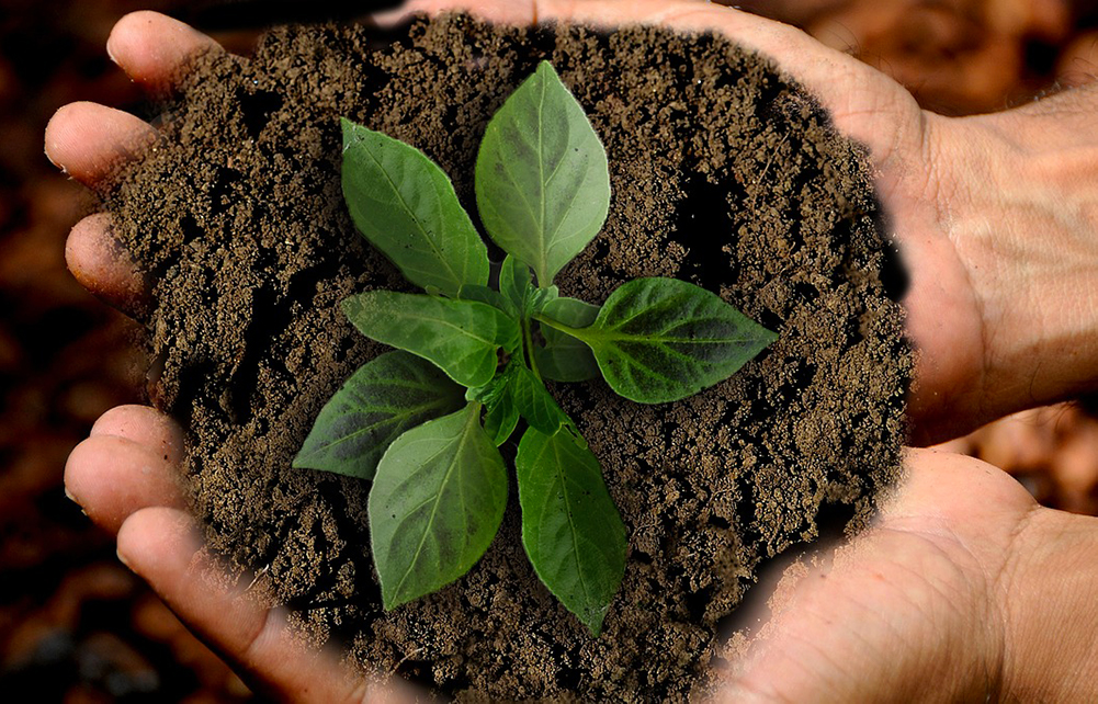 lI direttore di Ispra nel Comitato ristretto del piano decennale europeo per l’ambiente