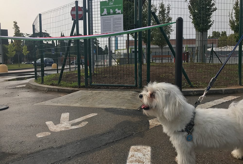 Inaugura a Verona la prima area cani attrezzata in un parcheggio/terminal bus turistico in centro città
