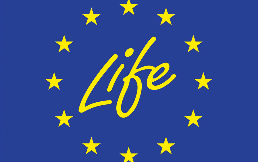 Due appuntamenti del Progetto Life per valorizzare i Palù del Quartier del Piave