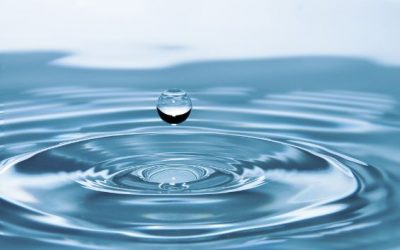 Piave Servizi è diventata una società per azioni