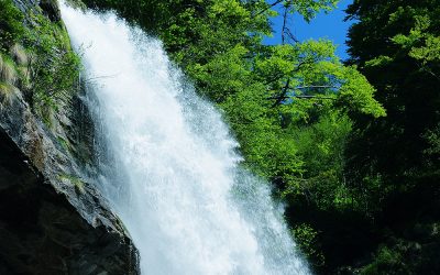 L’agenzia regionale ARPAV ha pubblicato il nuovo rapporto sulle acque dei corsi d’acqua e dei laghi del Veneto