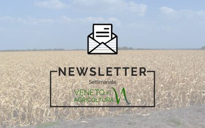 Nuovo numero della newsletter dell’agenzia regionale Veneto Agricoltura